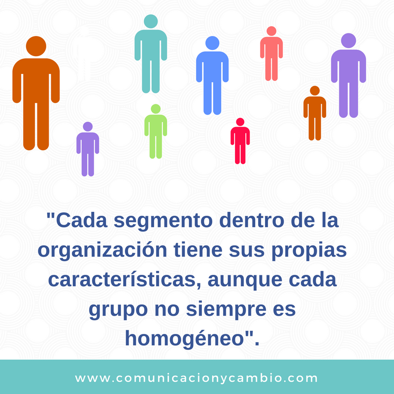 Segmentación interna.png